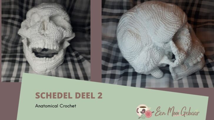 Schedel haken – deel 2