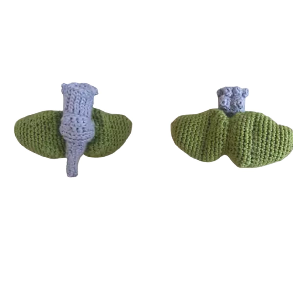 Gratis haakpatroon Cerebellum en hersenstam haken - Decoratie, Menselijk lichaam - Scheepjes Catona - haaknaald 2.5 mm