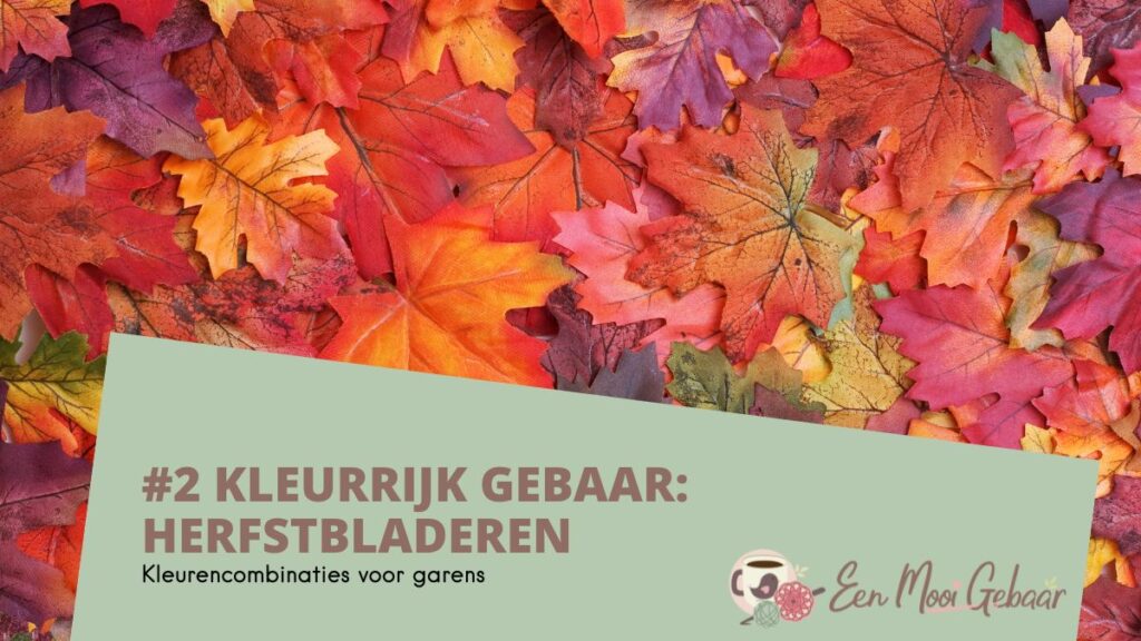 2 Kleurrijk Gebaar Herfstbladeren Omslagfoto