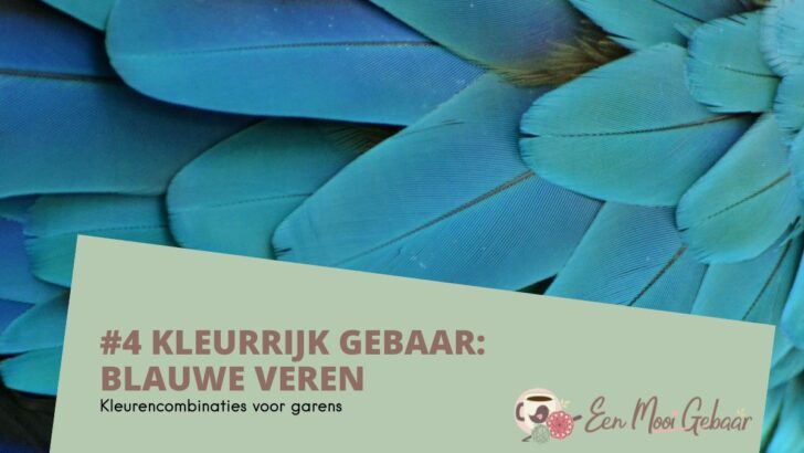 Blauwe Veren Kleurencombinatie – Kleurrijk Gebaar #4