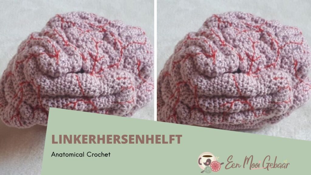 Anatomical Crochet Linkerhersenhelft Omslagfoto