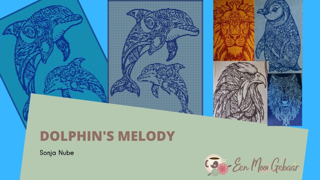 Dolphins Melody Sonja Nube Omslagfoto