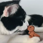 Mini T-rex Haken 299 Gratis haakpatroon Mini T-rex Haken - Amigurumi - Geschikt voor restjes garen