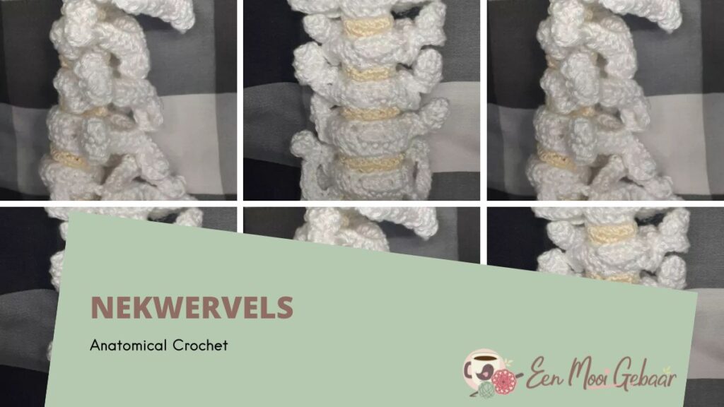 Anatomical Crochet Nekwervels Omslagfoto