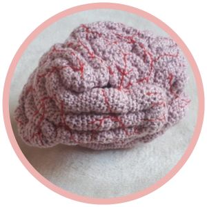 Anatomical Crochet Rechterhersenhelft Galerij