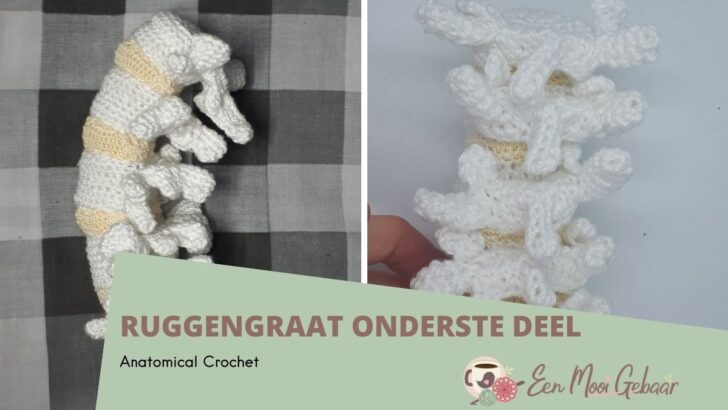 Ruggengraat haken: onderste deel