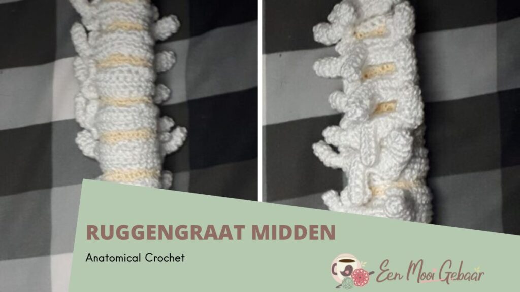 Anatomical Crochet Ruggengraat midden Omslagfoto