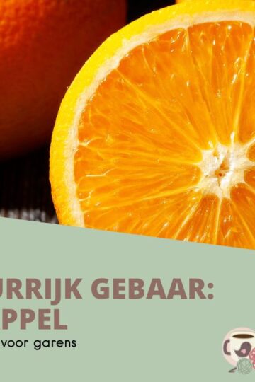 Kleurrijk Gebaar #14 - Sinaasappel 9 14-Kleurrijk-Gebaar-Sinaasappel-Omslagfoto