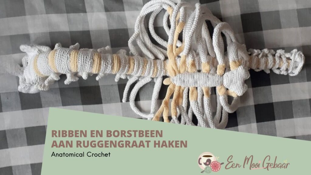 Anatomical Crochet Ribben en Borstbeen aan Ruggengraat Haken Deel 15 Omslagfoto