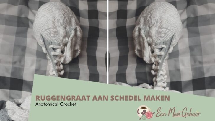 Anatomical Crochet Ruggengraat aan schedel maken Omslagfoto