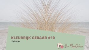 Kleurrijk Gebaar 10 Omslagfoto