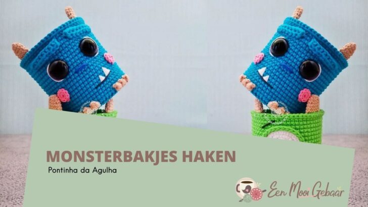 Monsterbakjes Haken Pontinha da Agulha Omslagfoto