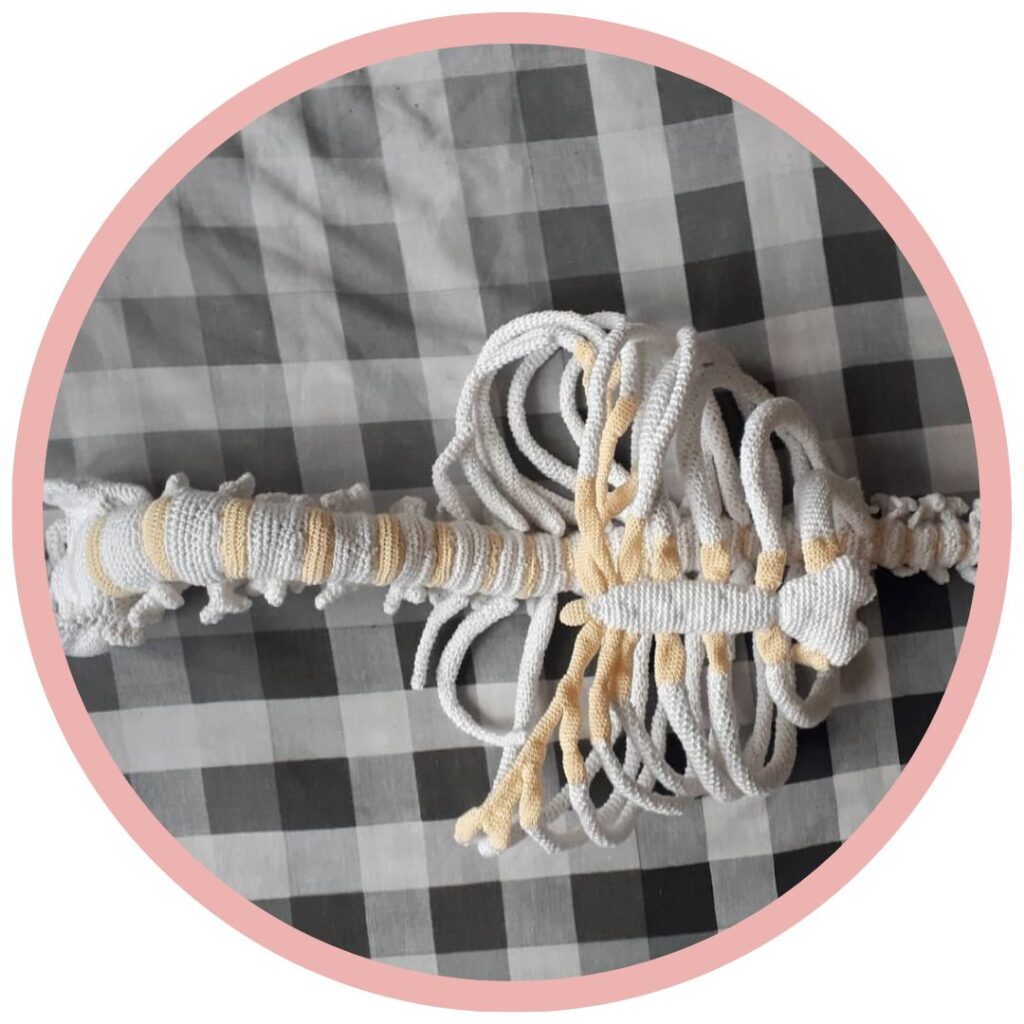 Ruggengraat middelste deel 51 Ribben en Borstbeen aan Ruggengraat Haken Anatomical Crochet Galerij