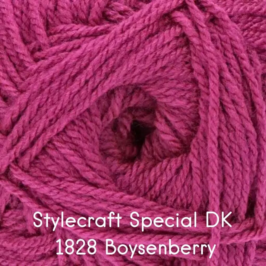 Stylecraft Special DK 1828 Boysenberry