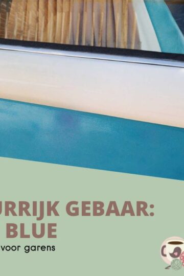 Kleurrijk Gebaar #15 Vintage Blauw 8 15-Kleurrijk-Gebaar-Vintage-Blue-Omslagfoto-1