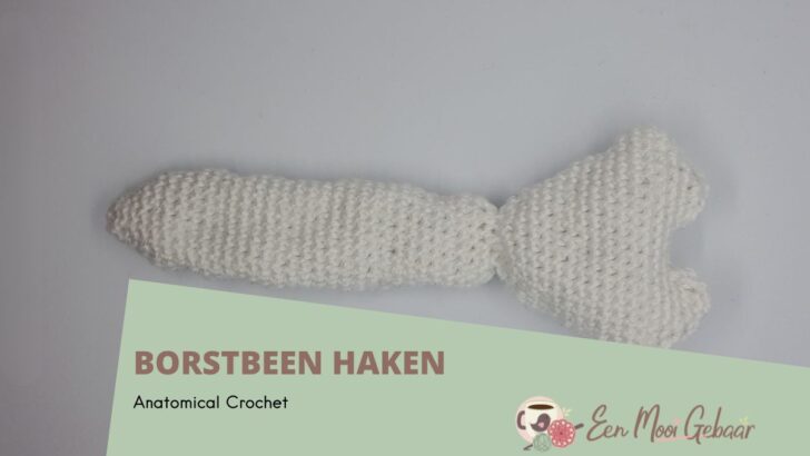 Anatomical Crochet Borstbeen haken Omslagfoto