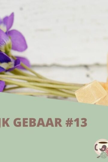 Kleurrijk Gebaar #13 - Viooltjes 10 Kleurrijk-Gebaar-13-Omslagfoto