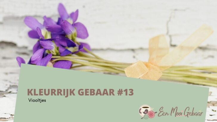 Kleurrijk Gebaar #13 – Viooltjes