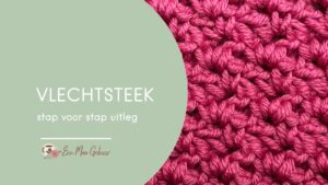 Vlechtsteek Omslagfoto