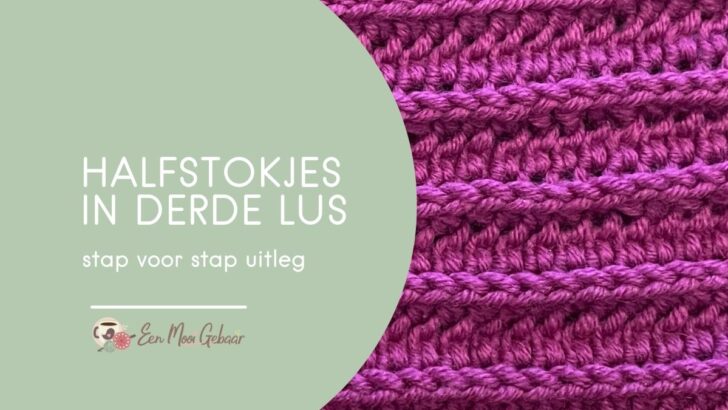 Halfstokjes in derde lus Omslagfoto