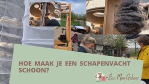 Van wol tot bol Omslagfoto