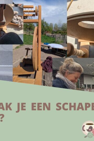 Van wol tot bol: hoe selecteer je een schapenvacht en maak je hem schoon 11 Van-wol-tot-bol-Omslagfoto