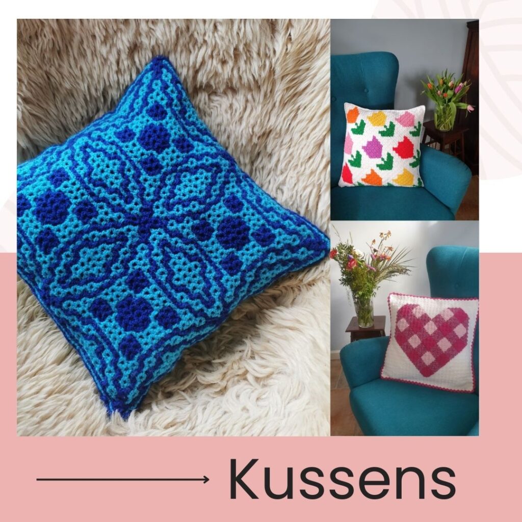 Kussenomslagfoto 1