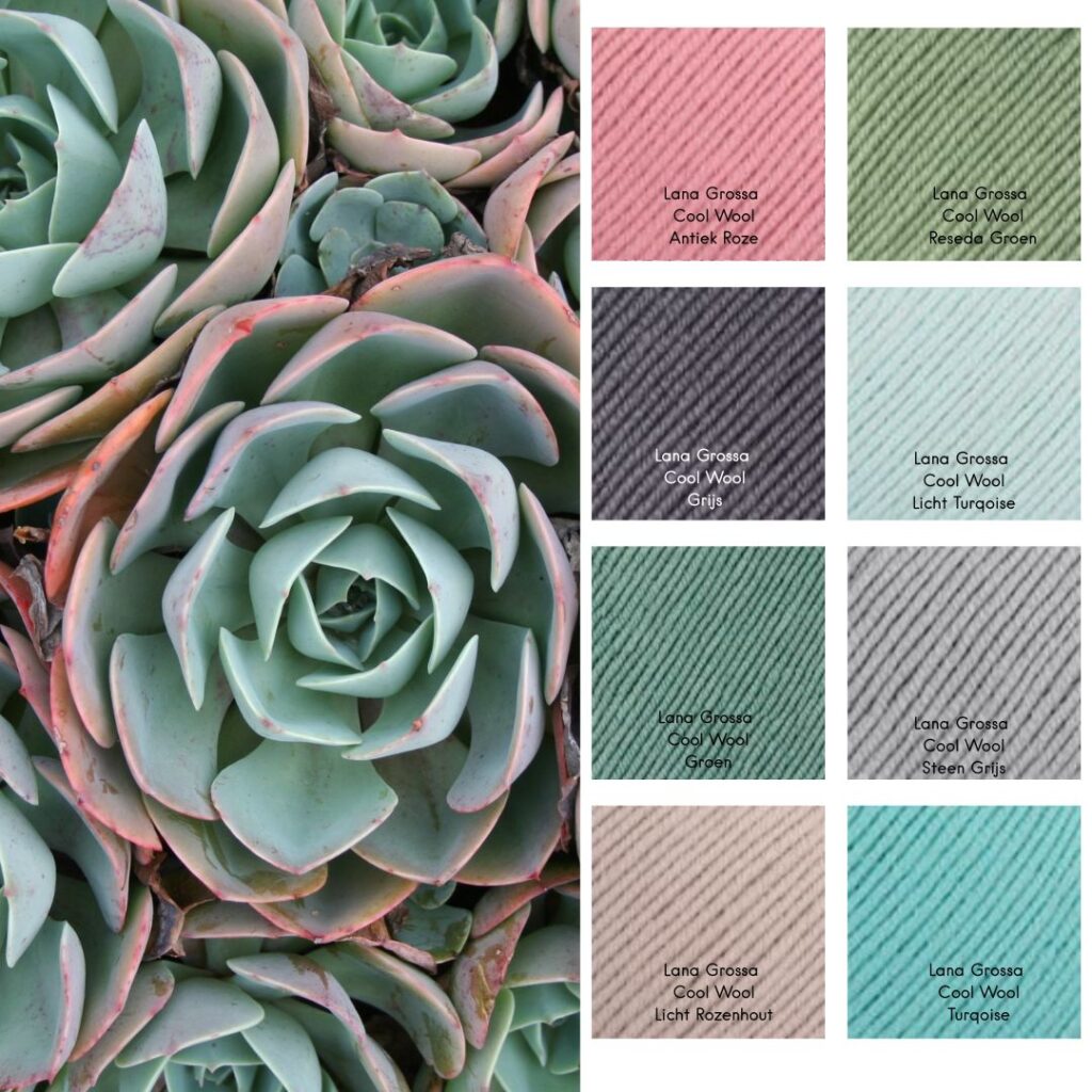 Kleurrijk Gebaar #16 - Vetplantjes 1 Lana Grossa Cool Wool