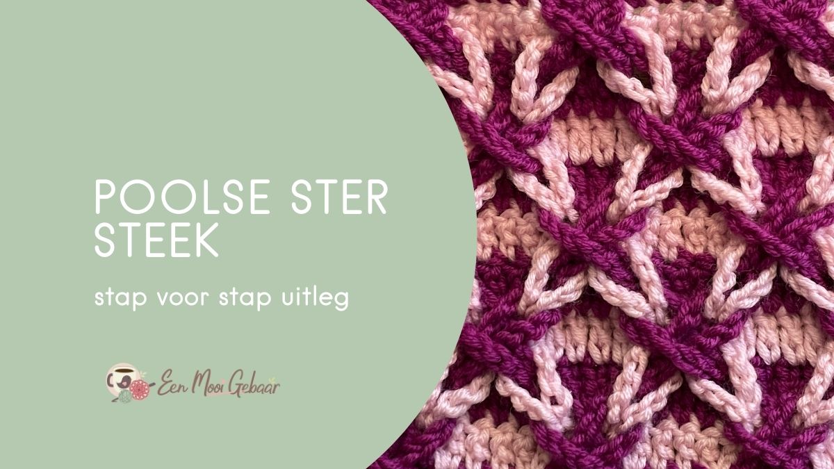 Omslagfoto Poolse Ster Steek