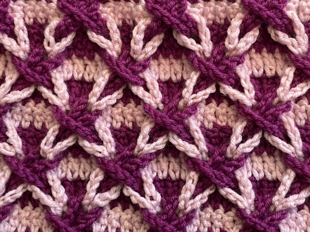 Poolse ster steek close up 2