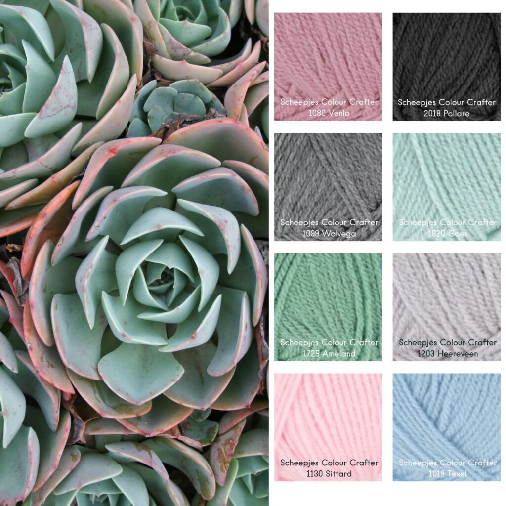 Kleurrijk Gebaar #16 - Vetplantjes 3 Scheepjes Colour Crafter