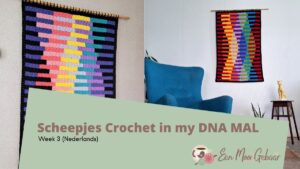 Scheepjes Crochet in my DNA MAL - Week 3 - (Nederlands) 5 Scheepjes-Crochet-in-my-DNA-MAL-Week-3-Nederlands-Omslagfoto