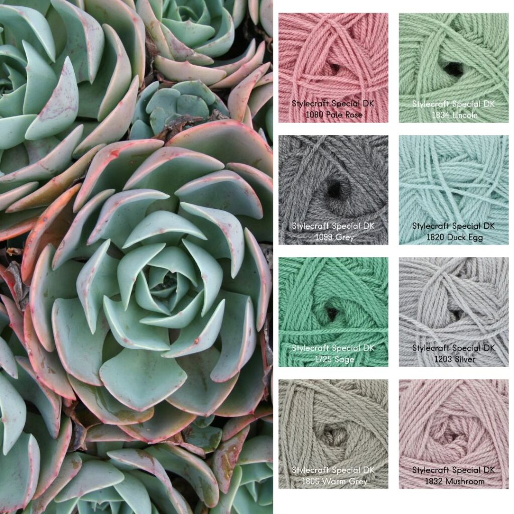 Kleurrijk Gebaar #16 - Vetplantjes 4 Stylecraft Special DK