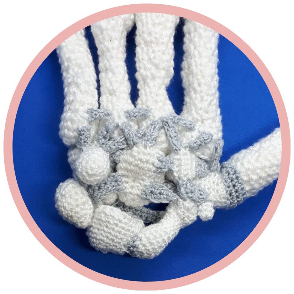 Ruggengraat middelste deel 53 Handen Haken Anatomical Crochet Galerij
