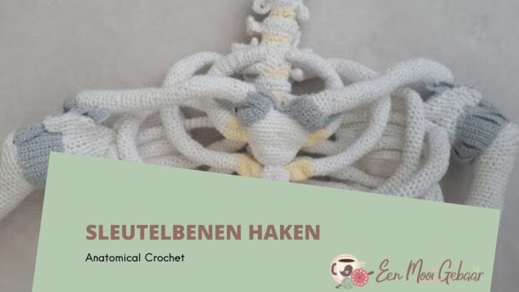 Sleutelbenen haken