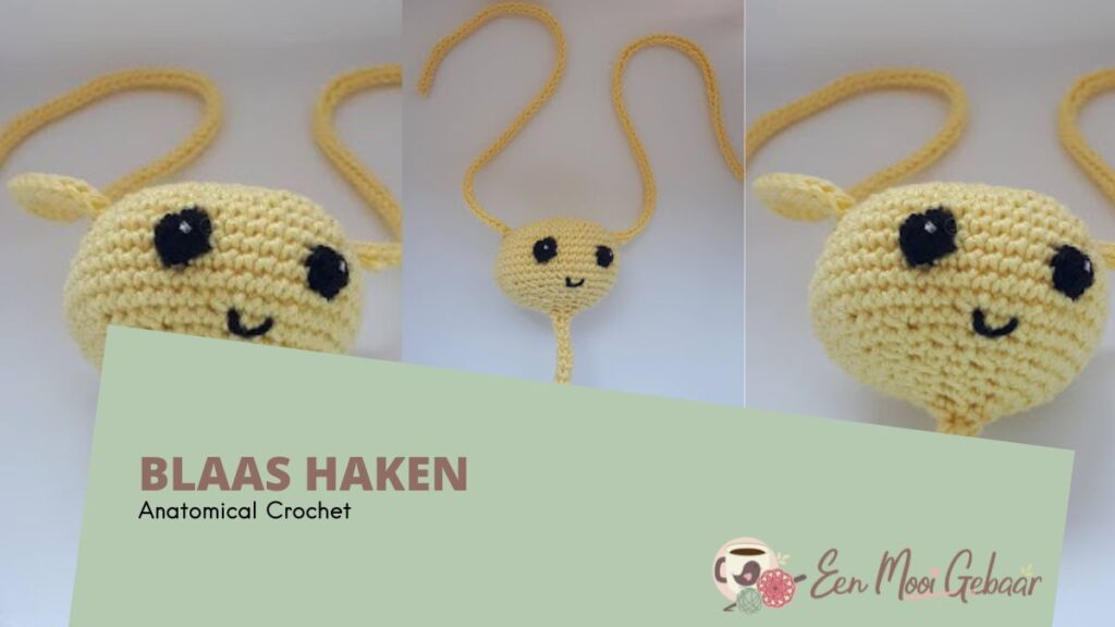 Blaas Haken Anatomical Crochet Omslagfoto