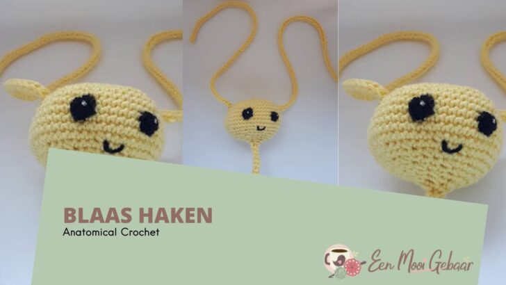 Blaas Haakpatroon