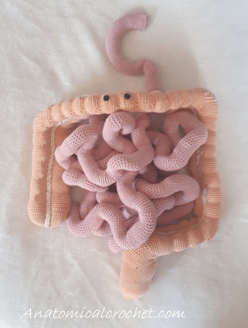 Dikke Darm Haakpatroon 2