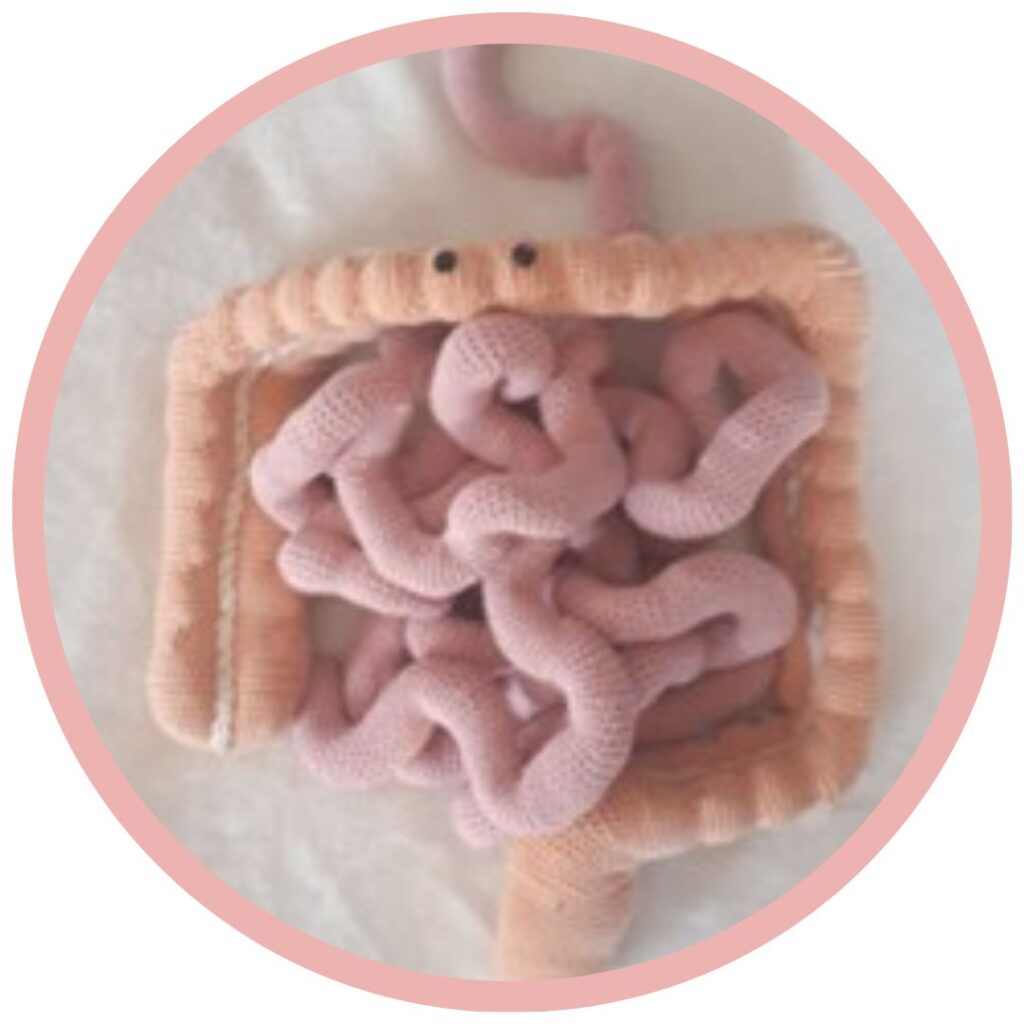 Dunne Darm Haakpatroon 39 Dikke Darm Haken Anatomical Crochet Galerij