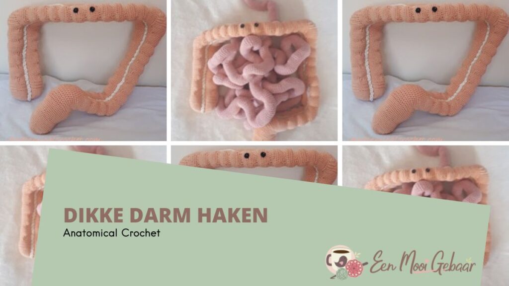 Dikke Darm Haken Anatomical Crochet Omslagfoto