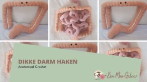 Dikke Darm Haken Anatomical Crochet Omslagfoto