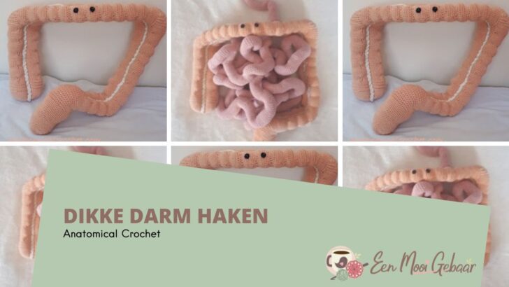 Dikke Darm Haken Anatomical Crochet Omslagfoto