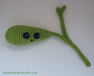 Galblaas Haakpatroon 1 galblaas haakpatroon