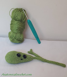 Galblaas Haakpatroon 2 Galblaas haakpatroon 2