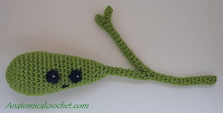 Galblaas Haakpatroon 4 Galblaas haakpatroon 3