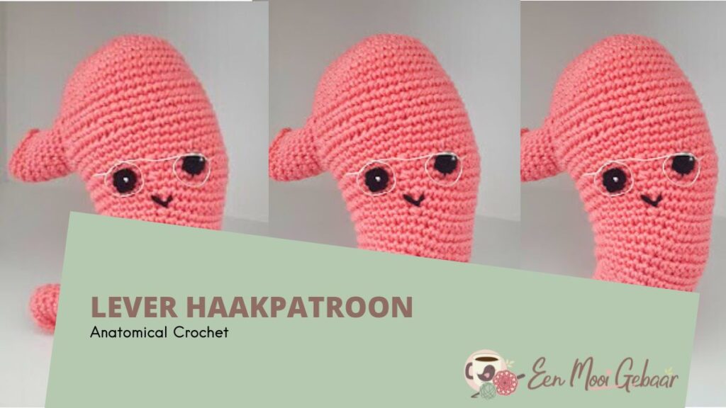 Maag Haken Anatomical Crochet Omslagfoto