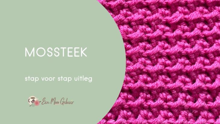 Mossteek Omslagfoto