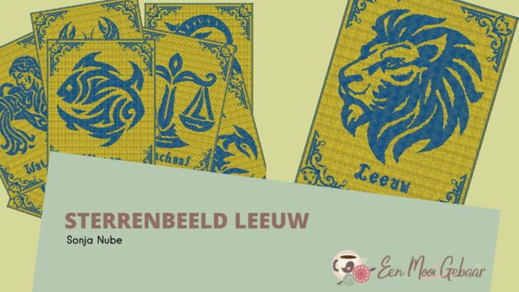 Sterrenbeeld Leeuw Omslagfoto