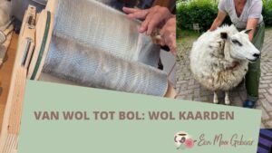 Van wol tot bol Wol Kaarden Omslagfoto