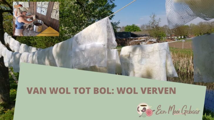 Van wol tot bol Wol VervenOmslagfoto